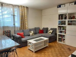 2 bedrooms Apartment with parking Paris Neuilly في نويي سور سين: غرفة معيشة مع أريكة رمادية ووسائد حمراء