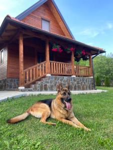 a dog laying in the grass in front of a house at Apartments Bogdanović in Mokra Gora