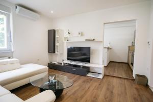 TV a/nebo společenská místnost v ubytování Apartments Šentvid