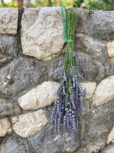 een bos paarse bloemen hangend aan een stenen muur bij app OLIVER MALINSKA in Malinska