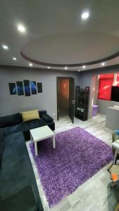 a living room with a couch and a purple rug at Apartament Butterfly Mamaia Intrare in Constanţa