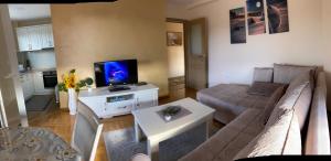 Un televizor și/sau centru de divertisment la Lux apartman Nena 29 - Zlatibor (centar)
