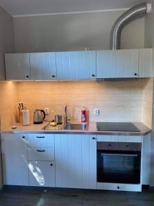 Kuchyň nebo kuchyňský kout v ubytování Apartament Sopot Oliwia II