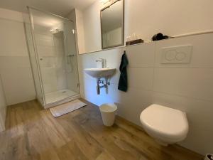 Hotel Gasthof Engel في Kleinlützel: حمام مع مرحاض ومغسلة ودش