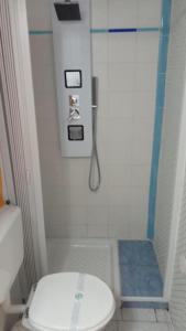 La petite salle de bains est pourvue d'une douche et de toilettes. dans l'établissement Capricornio Club, à Maiori