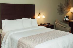 Voodi või voodid majutusasutuse The Grand Hotel Nanaimo toas