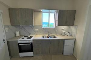 Kuchyň nebo kuchyňský kout v ubytování Vatos 2 bedroom apartment