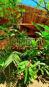 Gallery image of Arenal Rústic Lodge in Fortuna