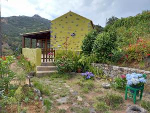 a yellow house with a bunch of flowers in front of it at Casa Maria in Agulo