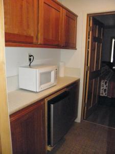 a microwave sitting on top of a kitchen counter at CREEKSIDE LODGE in Markleeville