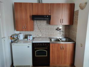 Kuchyň nebo kuchyňský kout v ubytování Apartments Vodice Srima