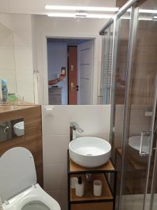 a bathroom with a sink and a toilet and a mirror at Ewela in Giżycko