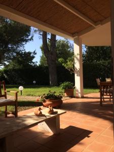 a patio with a bench and a potted plant at A casa di Maurizio in Rosa Marina