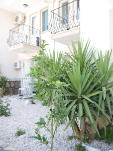 Zahrada ubytování Nefis Hotel Ölüdeniz