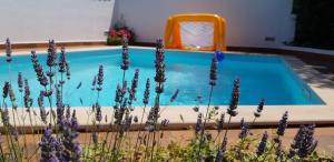 - une piscine avec des fleurs violettes en face dans l'établissement Guest house Bizjak, à Vinkuran