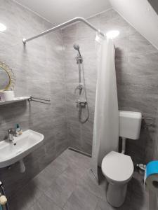 a bathroom with a shower and a toilet and a sink at Gabi Magánszálláshely in Zalasárszeg +1 photo