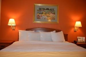 Postel nebo postele na pokoji v ubytování Americas Best Value Inn Gainesville TX