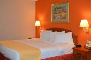 Postel nebo postele na pokoji v ubytování Americas Best Value Inn Gainesville TX