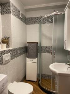 a bathroom with a shower and a toilet and a sink at Apartment Jadran in Perast +9 photos