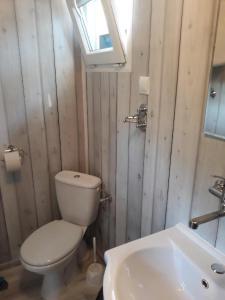 a bathroom with a toilet and a sink at Camping Anastazja in Międzywodzie