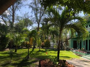 a yard with palm trees and a building at Belize Budget Suites in San Pedro