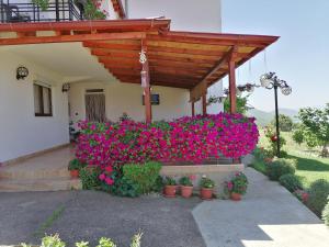 a bunch of flowers in pots in front of a building at Shoposki Guest House in Ohrid
