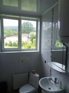 a bathroom with a toilet and a sink and two windows at Guest House Mansarda in Yaremche