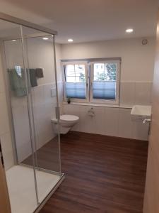 een badkamer met een toilet en een glazen douche bij Gasthaus Gemsli in Nesslau