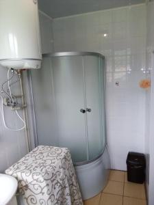 a shower with a glass door in a bathroom at Guest House Mansarda in Yaremche