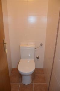 a bathroom with a white toilet in a stall at Ferienhaus Drobesch in Sankt Kanzian +10 photos