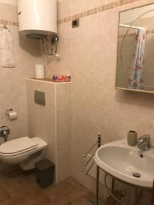 y baño con lavabo, aseo y espejo. en KINDLY ROBERTA centro storico Peschiera,lago relax, en Peschiera del Garda