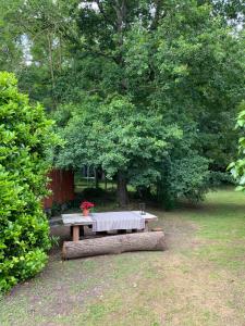 A garden outside Casa de camp Les Tretes