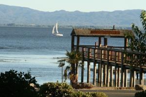 a sail boat in the water with a pier and a boat at Featherbed Railroad in Upper Lake