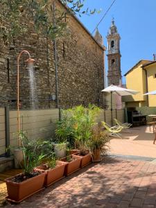 A garden outside The Old Mansion