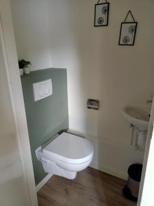 a bathroom with a white toilet and a sink at Chalet 't Veluws stulpje "GENIET, ONTSPAN EN DROOM EVEN LEKKER WEG!" in Putten