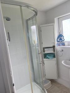 a bathroom with a shower and a sink at Gower Cottage in Reynoldston