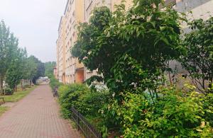a sidewalk next to a building with a tree at Apartament Navigare in Kołobrzeg