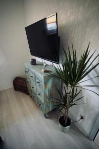 a potted plant sitting on a table next to a television at Tinytimeout Westerwald in Ellar