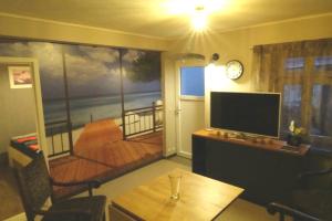 a living room with a television and a balcony at Ferienwohnung zum See in Görlitz