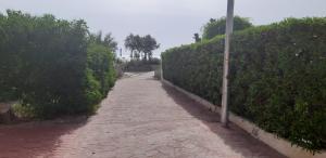 Fotografia z galérie ubytovania Estudio PREMIUM Vera Playa Naturista v destinácii Vera