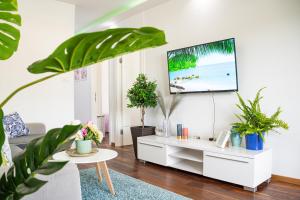 Apartment Josipa في سبليت: غرفة معيشة بها نباتات وتلفزيون على جدار