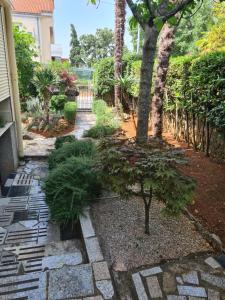 Zahrada ubytování Apartman Tamy