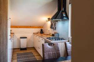 Fotografie z fotogalerie ubytování Apartment Maris2 v destinaci Novigrad Dalmatia