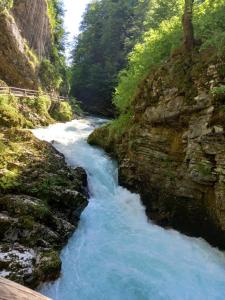 a river with blue water flowing through a canyon at apartma Marjetica in Blejska Dobrava