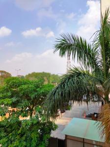 a view of a beach with a palm tree at Hotel Karan Vilas in Agra