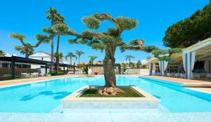 Bassein majutusasutuses Hotel Cerere või selle lähedal