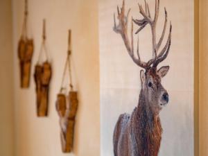 Tiere in der Ferienwohnung oder in der Nähe