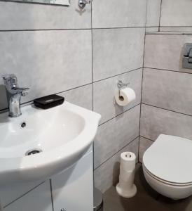 a bathroom with a sink and a toilet at Lovely place-apartament Oświęcim in Oświęcim