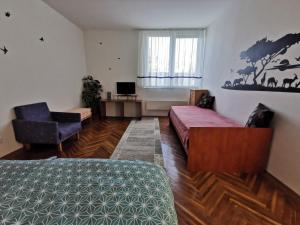 1 dormitorio con cama, silla y escritorio en Arena Apartment, en Szombathely
