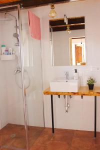 a bathroom with a sink and a shower at Casa Pepín - Sagasta Rural Oviedo in Oviedo